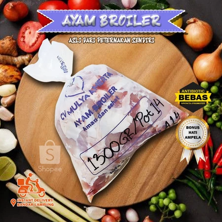 Jual Ayam kampung