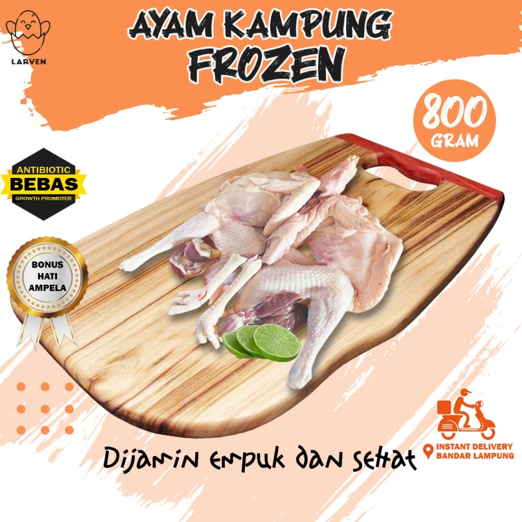 Jual Ayam Kampung Fresh Lampung